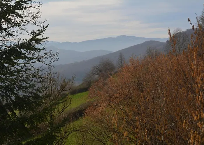 Cozy Tiny House - A D'en